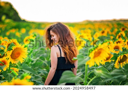 A charming young woman in a dress in a field of sunflowers. A beautiful concept of a summer holiday