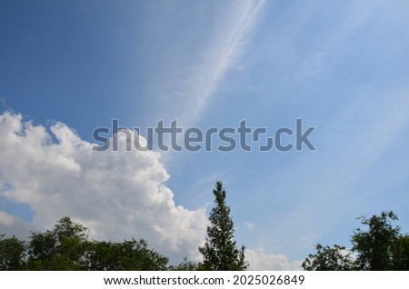 This picture shows sky with trees horizontal