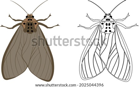 Realistic Illustration of Moth or Butterfly. Isolated on White Background. Insects Bugs Worms Pest and Flies.