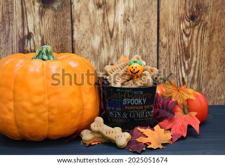Homemade dog biscuits in a fall setting with pumpkins and leaves. Royalty-Free Stock Photo #2025051674