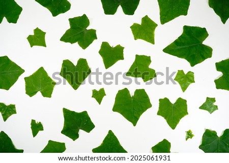 Pattern of heart shape green leaf on white background for seamless background design, isolated on white, leaf pattern background