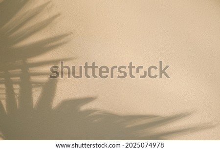 Beige wall with abstract shadow from palm leaves. Background design or minimalistic summer wallpaper idea, flat lay, creative copy space