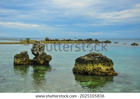 Coral on a clear water at tropical sea.