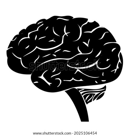 Human Brain anatomy black and white icon or symbol clip art