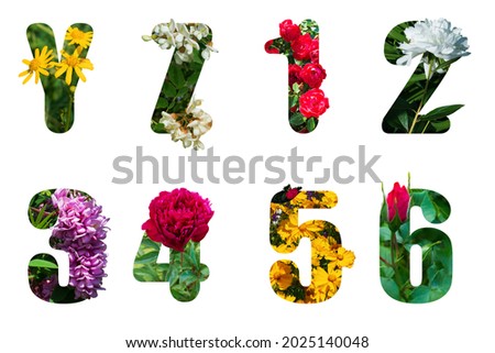 Floral letters Y Z . The number 0, 1, 2, 3, 4 ,5 ,6 are made from colorful flower photos. A collection of wonderful flora letters. flower on a white isolated background with clipping path