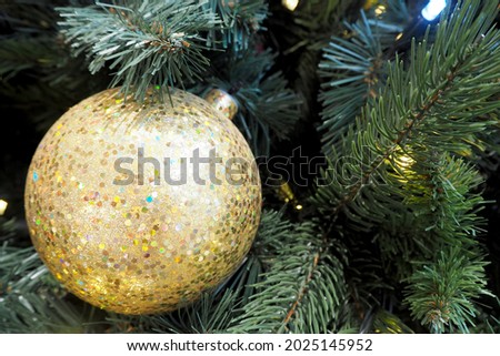 on the branch of the Christmas tree hangs a large golden-colored shiny round Christmas toy . side view. copy space