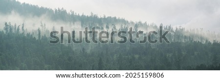 Mountain taiga, a wild place in Siberia. Coniferous forest, morning fog, panoramic view. Royalty-Free Stock Photo #2025159806