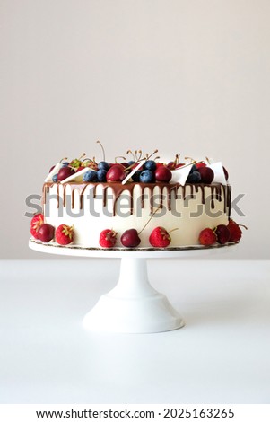 Birthday cake in chocolate with strawberries, blueberries and cherry on white background. Picture for a menu or a confectionery catalog.