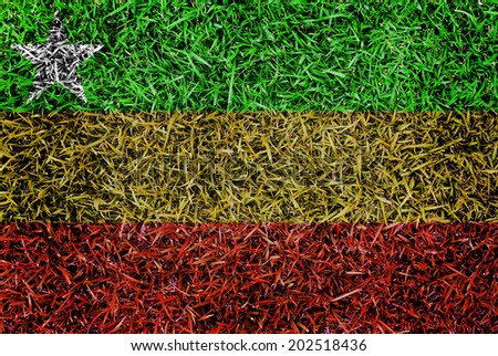 Burma Flag color grass texture background concept