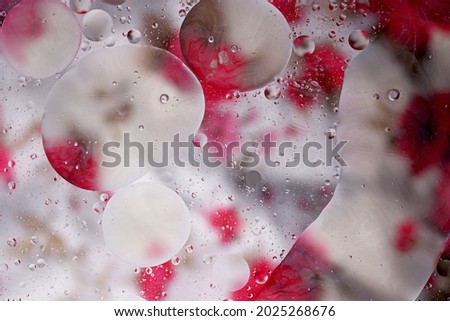 macro photo of water droplets in oil with a colorful abstract background