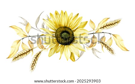 watercolor drawing. autumn composition of flowers of a sunflower and autumn leaves, ears of wheat. isolated on white background bouquet, on the theme of harvest, autumn, thanksgiving day.