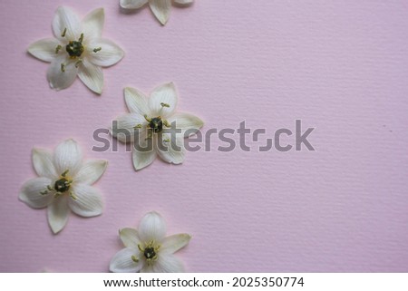 White flowers pattern on table 