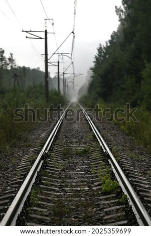 Gloomy photograph of a straight long railway. Rails receding and blurring in the distance in thick white fog. In the distance, silhouettes of power poles are visible in the fog. Deep forest is around