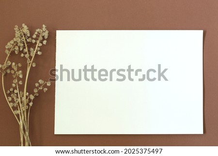 blank paper with dry flowers