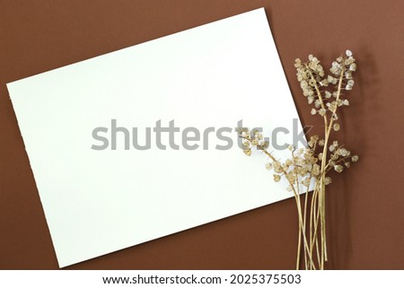 blank paper with dry flowers