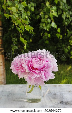 Bouquet of pink peonies in the garden