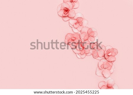 Floral arrangement with small pink Hydrangea flowers, natural floral flat lay in summer seasonal style. Minimal monochrome top view with copy space. Royalty-Free Stock Photo #2025455225