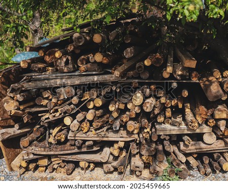 Photo of stacked firewood trees
