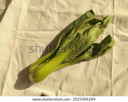 
photo of bok choy or pak choi on a white background. Suitable for, websites, print media, and electronic media with themes about cooking, nutrition, or vegetables. Can also be used for commercial use