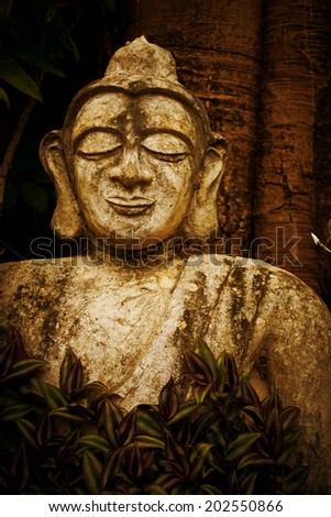 Old Buddha on the background of trees