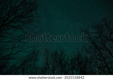 Starry light with green background and gress