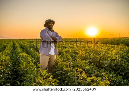 Farmer is standing in his growing soybean field. He is satisfied because of good progress of plants. Royalty-Free Stock Photo #2025562409