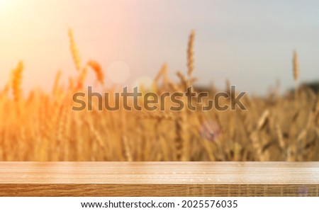 Wheat table background. Empty wooden table on the background of a summer golden wheat or rye field. Template for food made from flour, baking, bread, beer concept.