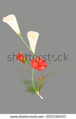 vector illustration of watercolor flower ornament