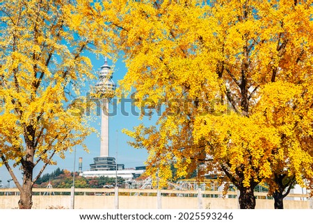 Autumn of Duryu Park in Daegu, Korea