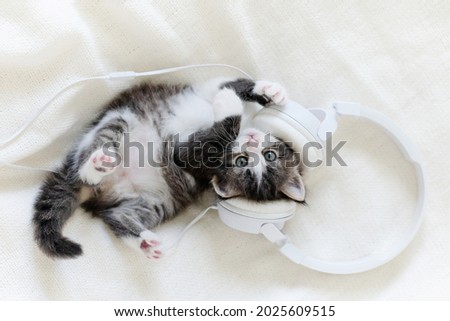 cute fluffy kitten cat in white musical headphones on a white background. High quality photo Royalty-Free Stock Photo #2025609515