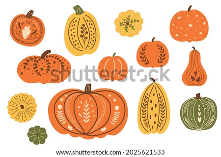 Thanksgiving festive pumpkins. Decorative fall pumpkins set. Autumn pumpkins vector. Top view