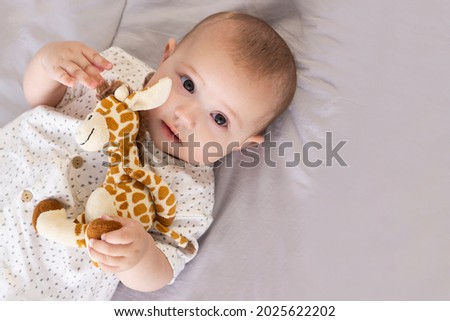 Portrait of cute baby smiling white Caucasian boy girl lying on the grey background with copy space looking at the camera and holding toy giraffe . Top view from above. Advertising mock up concept