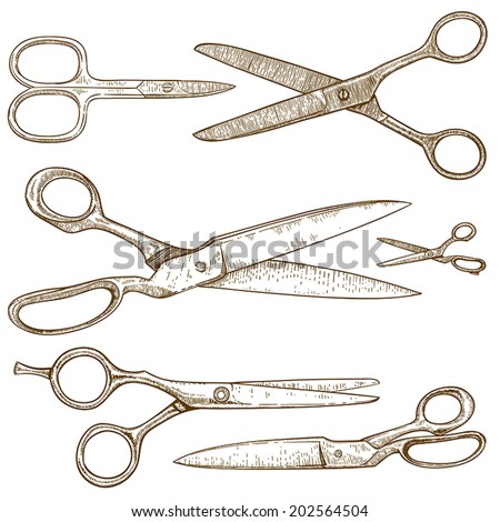 vector engraving illustration of scissors on white background