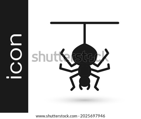 Black Spider icon isolated on white background. Happy Halloween party.  Vector