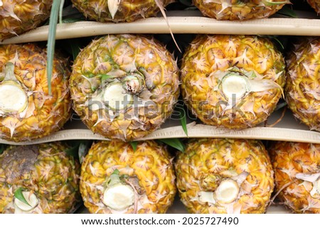 tasty and healthy pineapple on firm for harvest and sell