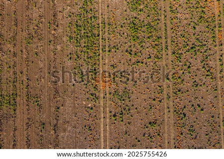 Aerial view of a Hokkaido field with tractor tracks in the sun from very high up
