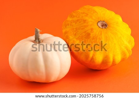 Close up of mini decorative pumpkin white and yellow colors on orange background with copy space. Halloween and Thanksgiving greeting card holiday concept 