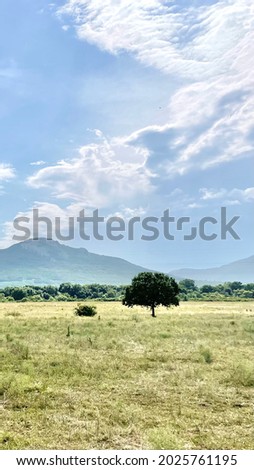 gorgeous summer landscape scene with field, mountain and blue sky