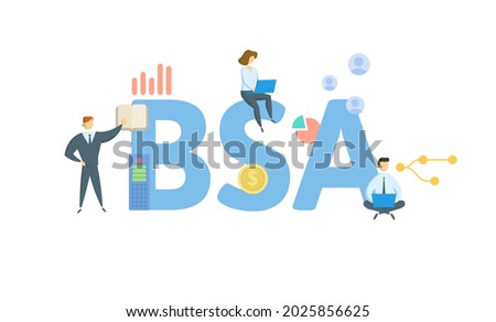 BSA, Bank Secrecy Act. Concept with keyword, people and icons. Flat vector illustration. Isolated on white. Royalty-Free Stock Photo #2025856625
