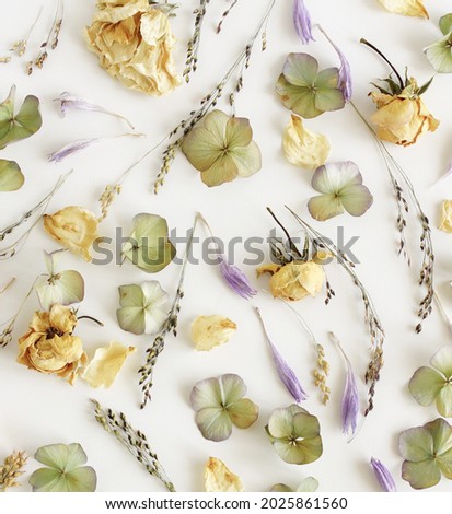 Dried flowers pattern  top view on white background. Poster. Floral card.Neutral colors