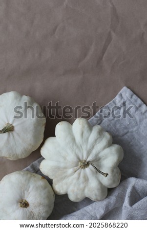 Autumn frame made of white pumpkins and squashes top view, copy space. Fall, Halloween, Thanksgiving concept. 