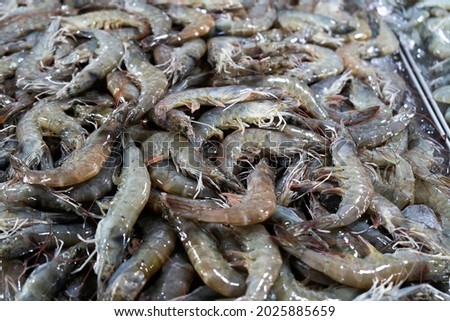 Many fresh raw shrimps close up, heap of prawns on seafood market, tropical marine crustaceans, gourmet healthy food, sea or ocean animal, shrimp pattern, prawn texture. Royalty-Free Stock Photo #2025885659