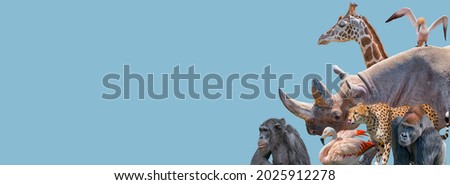 Banner with vulnerable wildlife animals in Africa, rhino, cheetah, gorilla, giraffe, elephant, flamingo, chimpanzee at blue sky solid background with copy space. Concept biodiversity and conservation