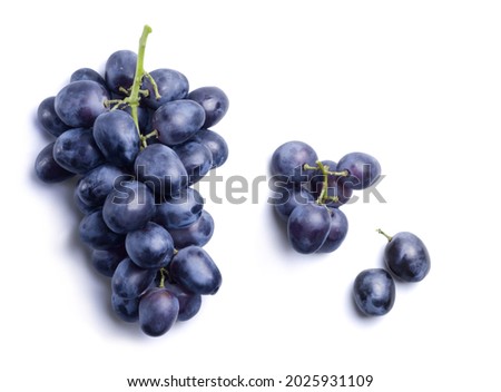 Bunch of ripe dark blue grapes isolated on white background. View from above. Royalty-Free Stock Photo #2025931109