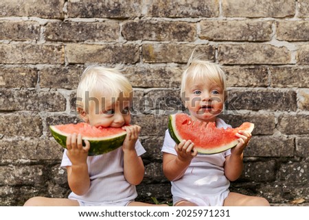 Babies and watermelon. Twins in white bodysuits for children with beautiful blue eyes and blonde hair sit on the floor and enjoy watermelon. Funny picture of twins enjoying a healthy snack