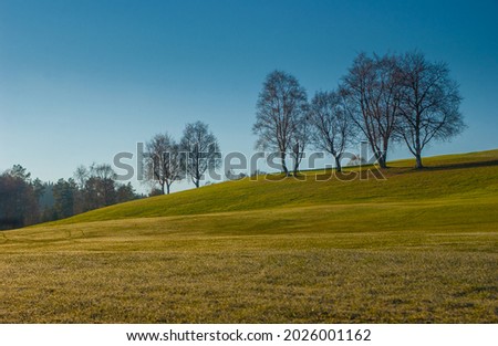 Bare trees on a grassy hill on a clear fall day.