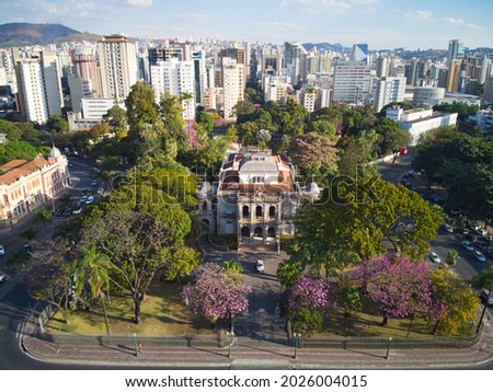 Freedom square (praça da liberdade) in the Brazilian city Belo Horizonte. Detain in the traditional buildings and the pink tress, called Ipês, in the square.
