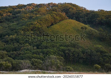 Early autumn in Primorsky Krai, Russia. Background with mountains and oak forest, defocused image in soft green tones