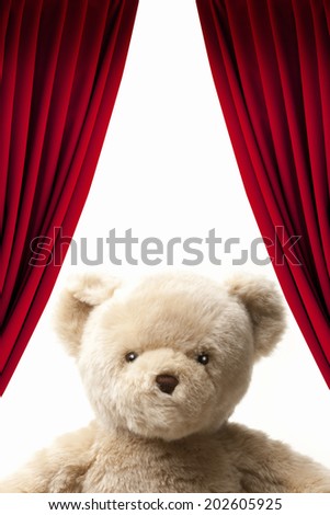 An Image of Teddy Bear