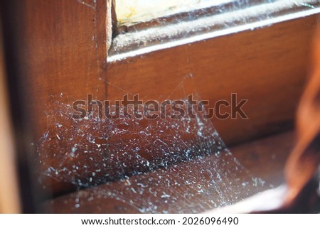 spider web on the old dirty window in the morning Royalty-Free Stock Photo #2026096490